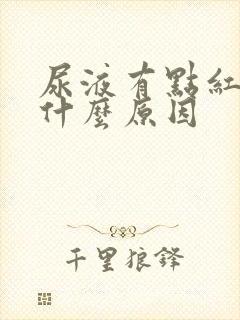 尿液有点红色是什么原因封面