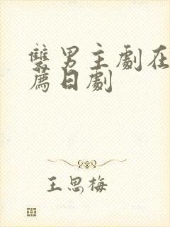 双男主剧在线推荐日剧