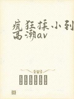 疯狂揉小到失禁高潮av