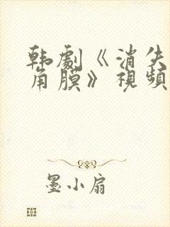 韩剧《消失的眼角膜》视频在线观看封面