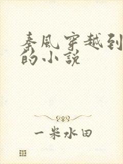 秦风穿越到秦朝的小说