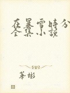 在暴雪时分小说全集小说封面