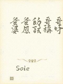 爸爸的哥哥的老婆应该称呼什么封面