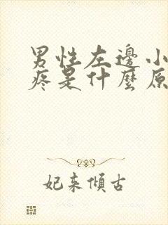 男性左边小腹胀疼是什么原因