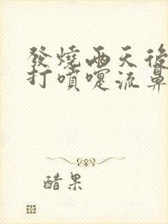 发烧两天后开始打喷嚏流鼻涕