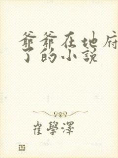 爷爷在地府造反了的小说封面