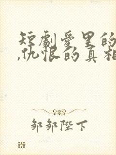 短剧爱里的谎言,仇恨的真相