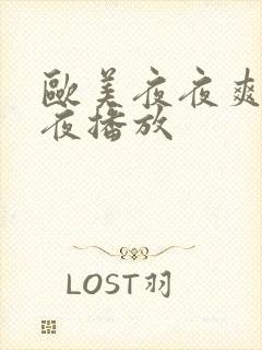 欧美夜夜爽爽午夜播放