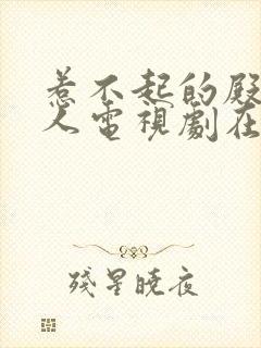 惹不起的殿下大人电视剧在线