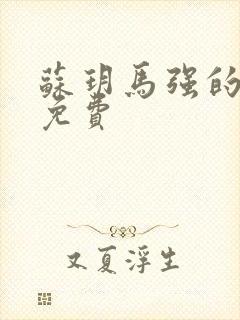 苏玥马强的小说免费封面