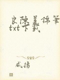 良陈美锦笔趣阁txt下载