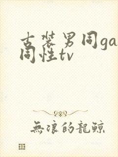 古装男同gay同性tv封面