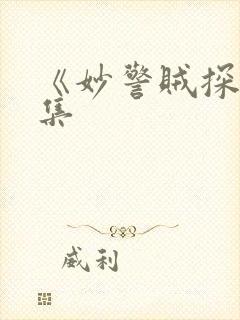 《妙警贼探》续集封面