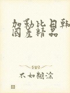 加勒比日韩精品国产精品