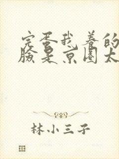 完蛋我养的小白脸是京圈太子爷短剧