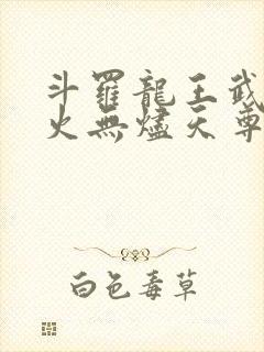 斗罗龙王武魂异火无烬天尊免费阅读