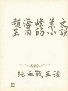 赵海峰叶文欣为主角的小说