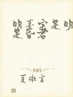 明熹宗是明君还是昏君