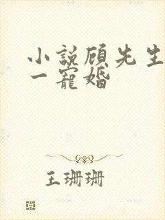 小说顾先生的第一宠婚