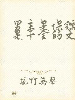 男主是保镖女主是千金的文