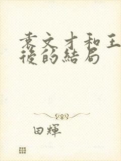 袁文才和王佐最后的结局封面