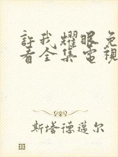 许我耀眼免费观看全集电视剧25