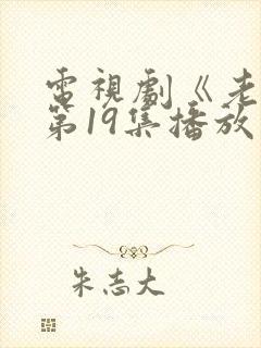 电视剧《老舅》第19集播放