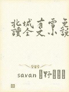 北城有雪免费阅读全文小说封面
