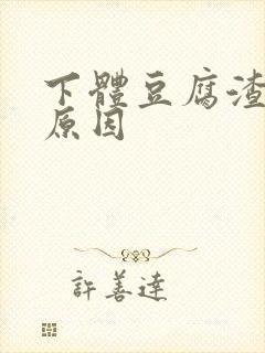 下体豆腐渣白带原因