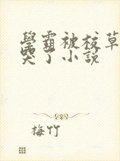 学霸被校草欺负哭了小说