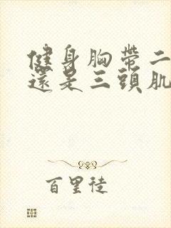 健身胸带二头肌还是三头肌