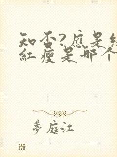 知否?应是绿肥红瘦是哪个朝代