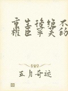 重生后绝不嫁给权臣宁芙的小说