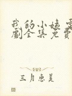 我的小姨 电视剧全集免费观看封面