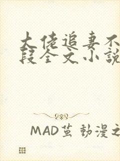 大佬追妻不择手段全文小说阅读全文