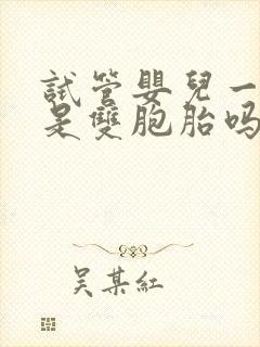 试管婴儿一般都是双胞胎吗封面