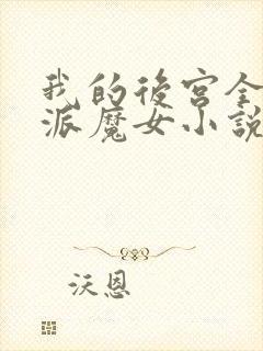 我的后宫全是反派魔女小说