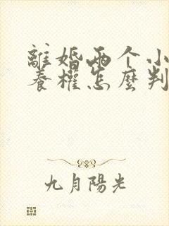 离婚两个小孩抚养权怎么判