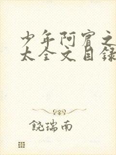 少年阿宾之房东太全文目录