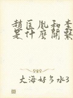 赵匡胤和李世民是什么关系