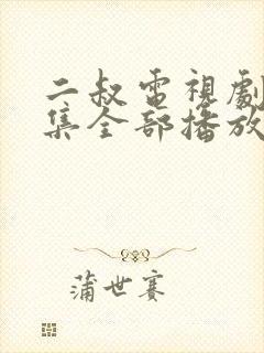 二叔电视剧40集全部播放