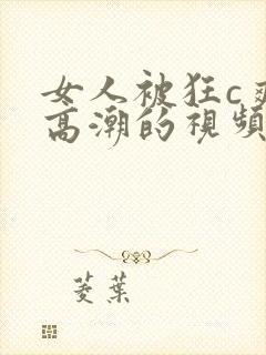 女人被狂c爽到高潮的视频