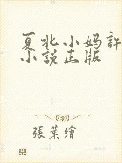 夏北小妈许馨柔小说正版封面