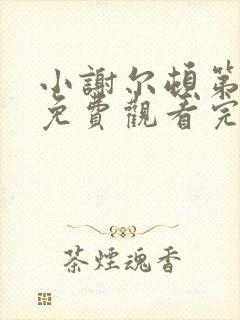 小谢尔顿第三季免费观看完整版