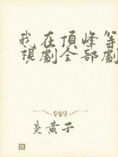 我在顶峰等你电视剧全部剧集