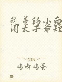 我养的小白脸京圈太子爷短剧