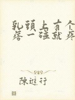 乳头上有个小疙瘩一碰就疼痛