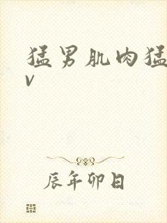 猛男肌肉猛男av