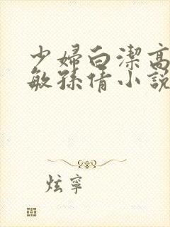 少妇白洁高义张敏孙倩小说