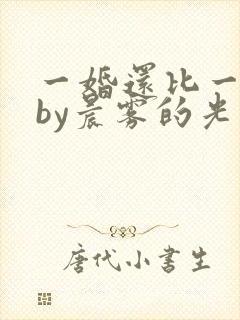 一婚还比一婚高by晨雾的光
